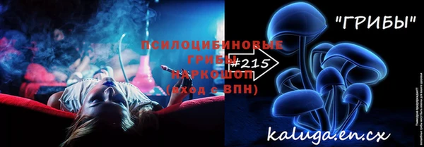 a pvp Алексин