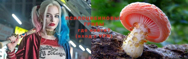 эйфоретик Новодвинск