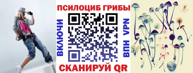 mega tor Черемхово Псилоцибиновые грибы мицелий